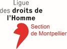 Logo LDH Montpellier